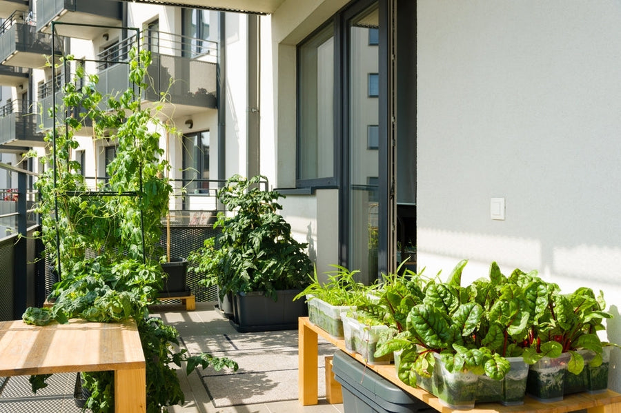 Best Small Garden Ideas That Maximize Outdoor Space Easily