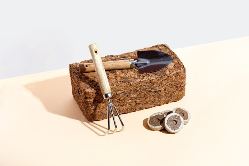 How to Use Coco Coir Bricks for Plants and Gardening