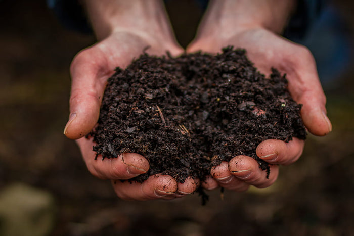 Composting Tips for Healthier Garden Soil That Lasts Long