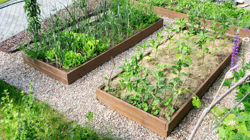 Simple DIY Raised Garden Bed Designs for Every Outdoor Space