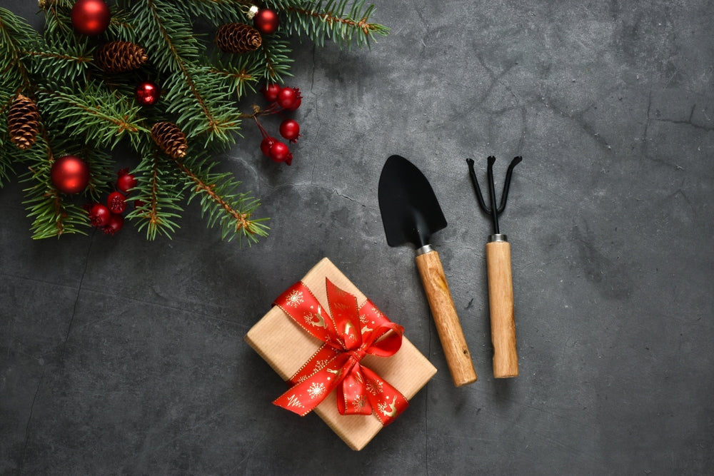 Garden Tool Gift Sets Every Beginner Gardener Will Love