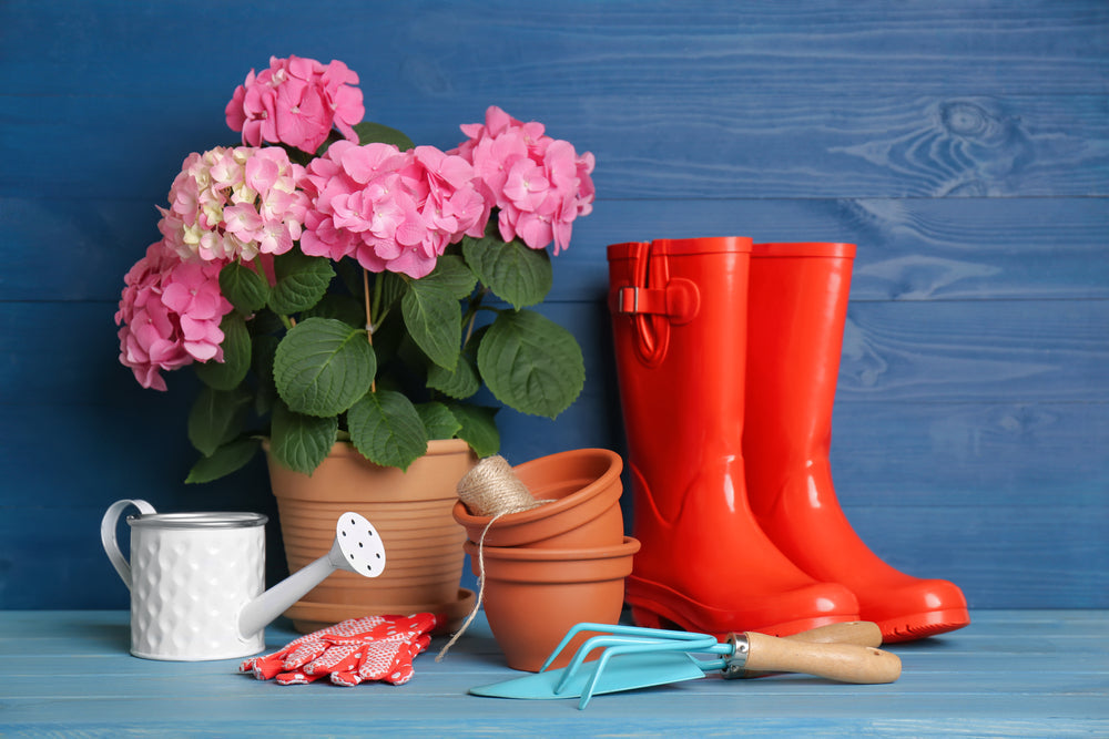 What are the Best Gardening Gifts for Plant Lovers?