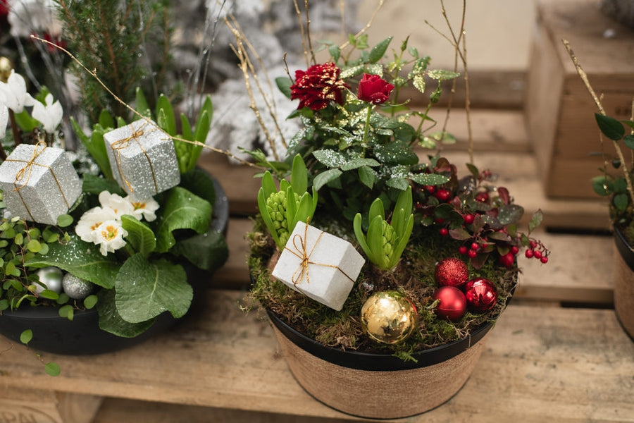 What Makes the Perfect Gardening Gift Basket for Every Occasion?