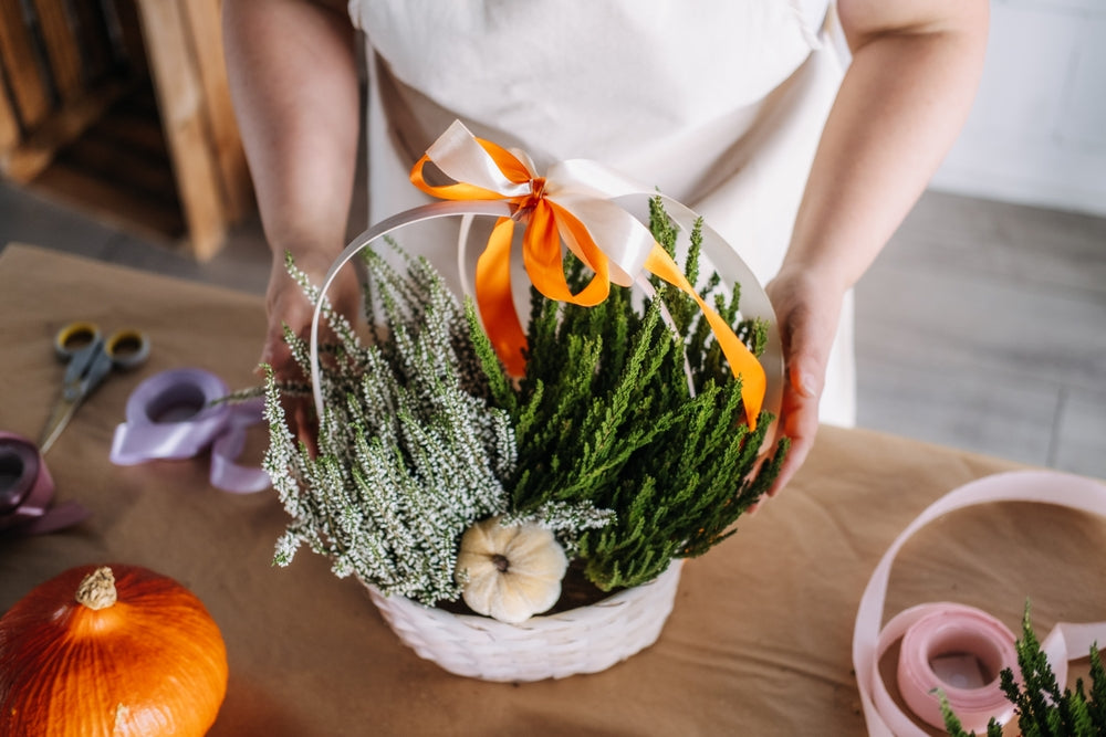 5 Most Unique Gifts for Plant Lovers Who Have Everything