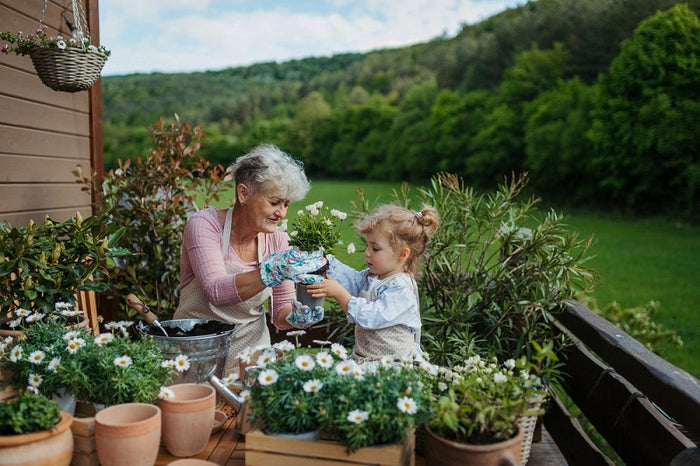 What Are the Best Small Garden Plants to Grow?