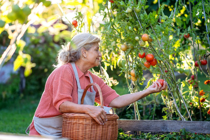 Vegetable Garden Ideas for Maximum Harvest in Small Spaces