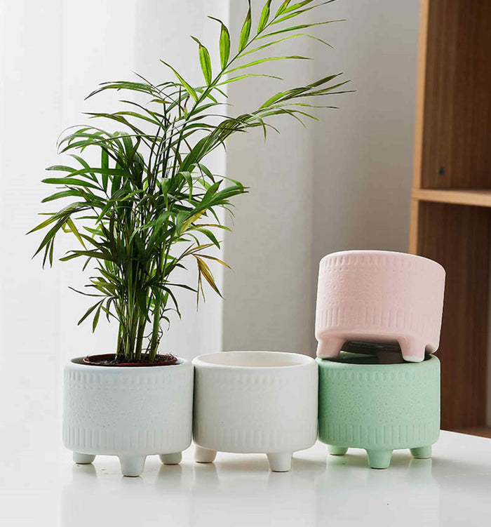 Ceramic Indoor Plant Pot
