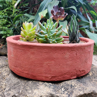 Classic Terracotta Planter