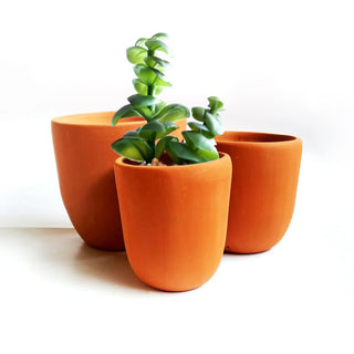 Classic Terracotta Planter