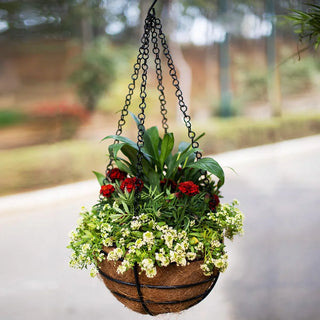 Hanging Basket Planter
