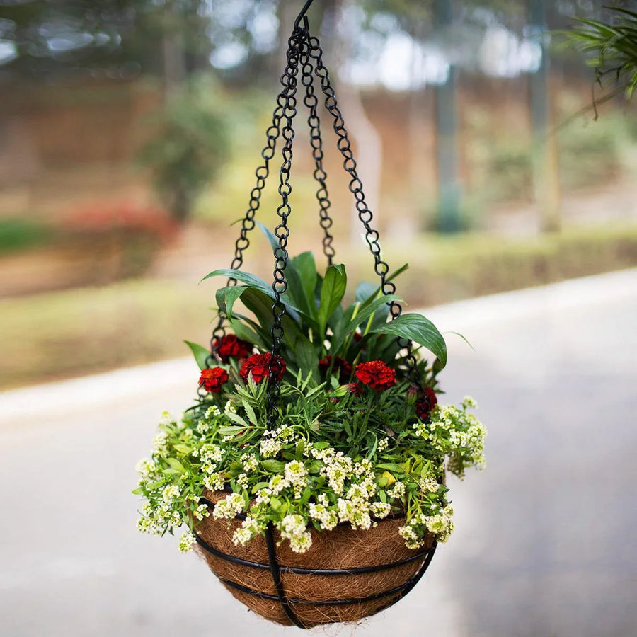 Hanging Basket Planter
