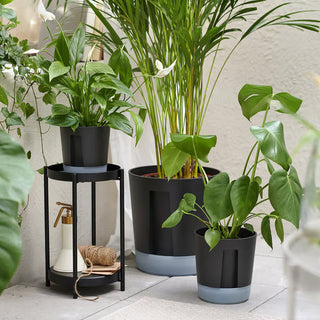 Self-Watering Planter