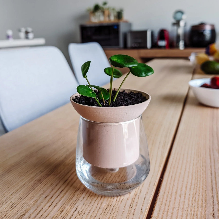 Self-Watering Planter