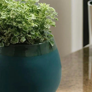 Ceramic Indoor Plant Pot