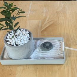 Modern Zen Tropical Desktop Garden