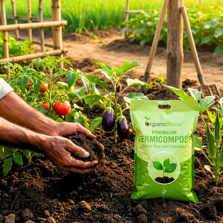 Organic Compost Fertilizer