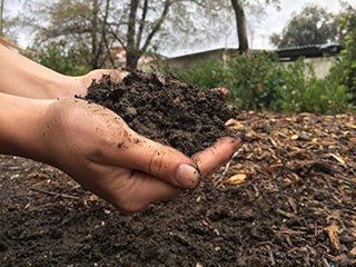 Organic Compost Fertilizer