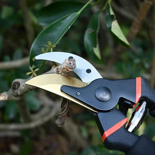 Heavy-Duty Pruning Shears