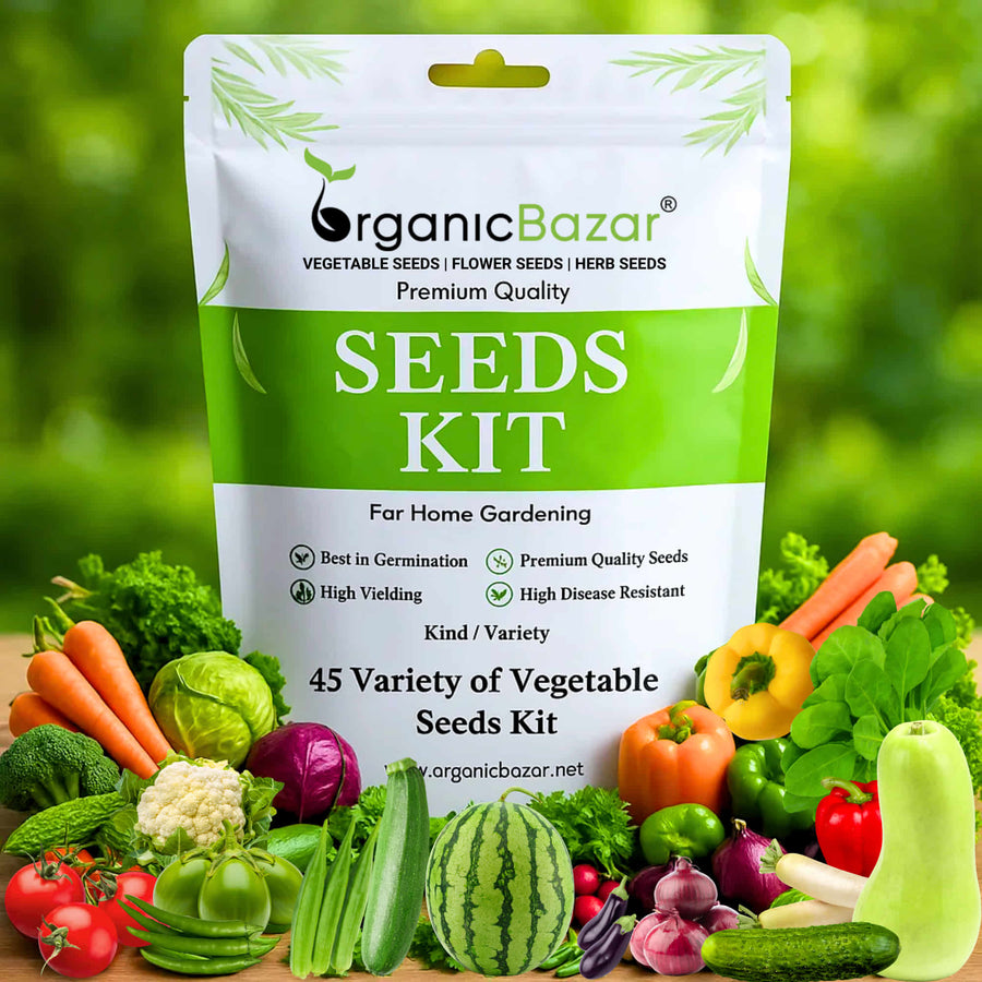 Organic Vegetable Seed Pack