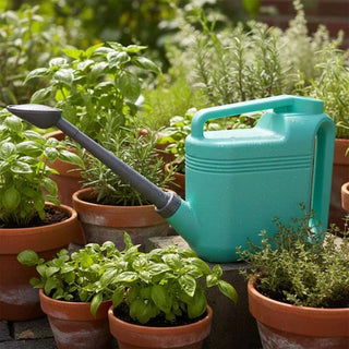 5L Watering Can
